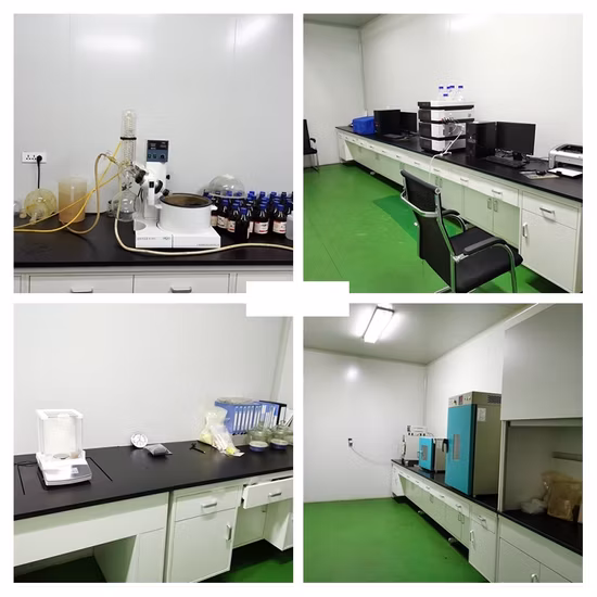 시트러스 파라디시 추출물 분말 10%~98% 나린진